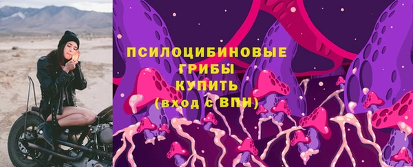трава Осташков