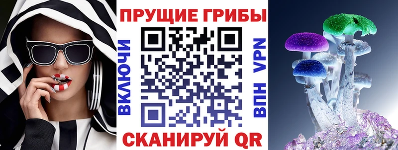 Псилоцибиновые грибы MAGIC MUSHROOMS  сайты даркнета клад  Урюпинск  где найти  